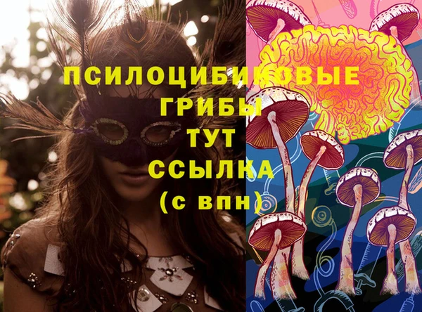 2c-b Абдулино